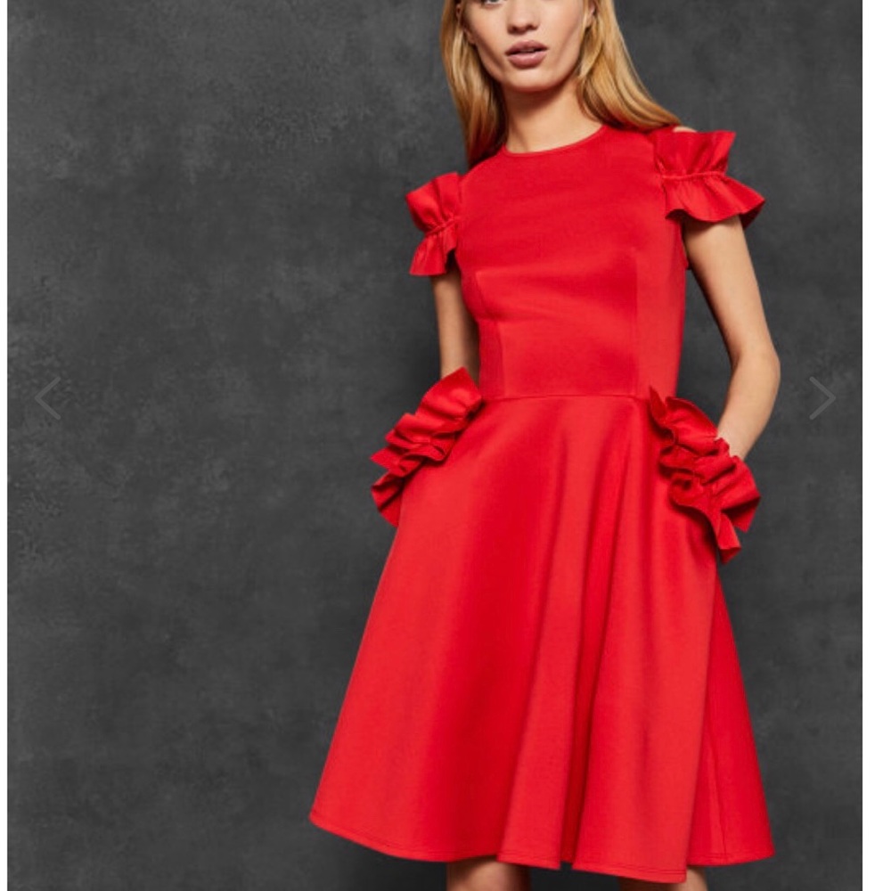 Ted Baker Dress